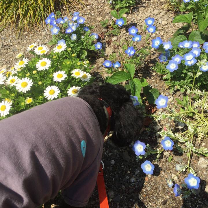 Ea3e7a0c c406 4554 8bb0 35f43fc080c2