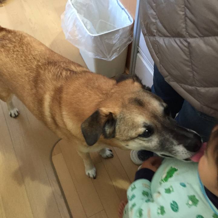 Ea3e86f0 306c 4b67 a645 b8009ddaadca