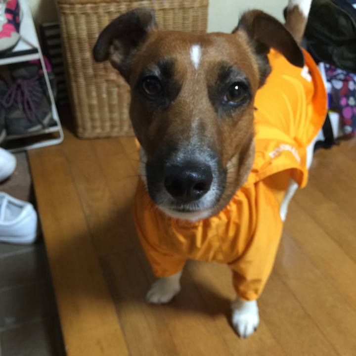 Ea3eb45c 6107 4e14 9386 663ca197ab3c