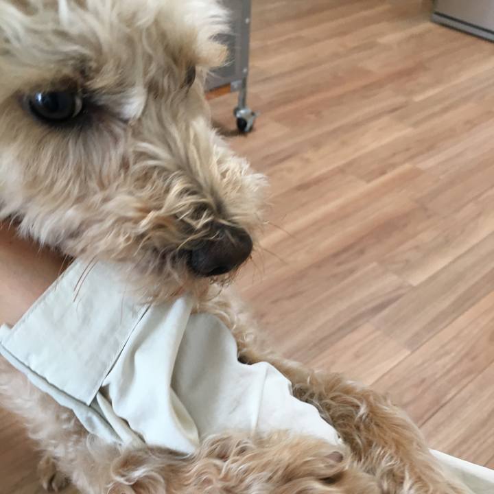 Ea3eb56f 2398 445f 9fa3 830044ee67f8