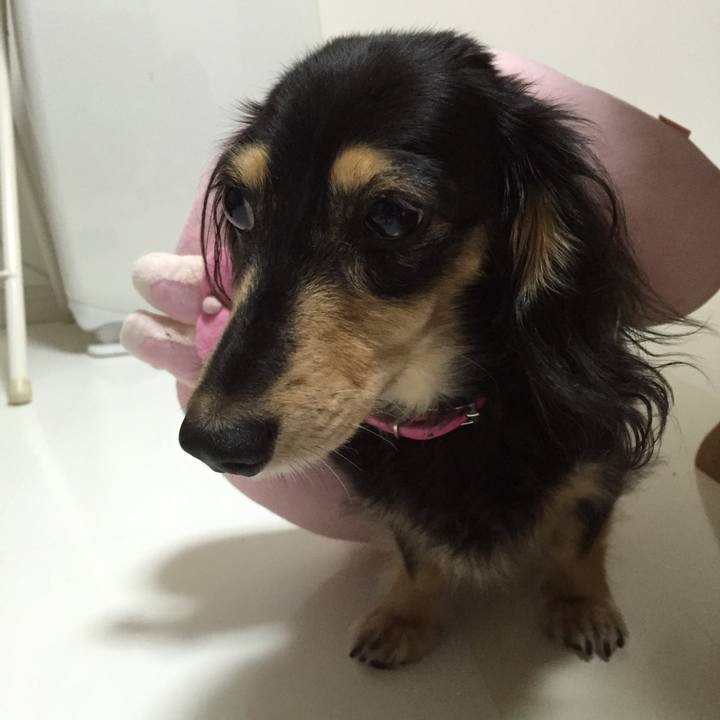 Ea3eddb3 a816 40f9 9b4e 938eaf866731