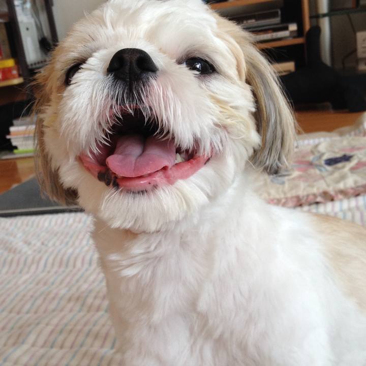 Ea3fb6a4 d655 48a0 b7e3 f5a53c402caf