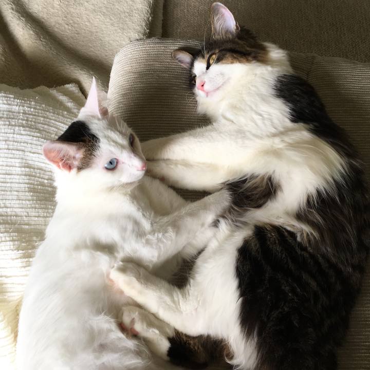 Ea402d74 b245 448e 87a4 61e8b75815a9