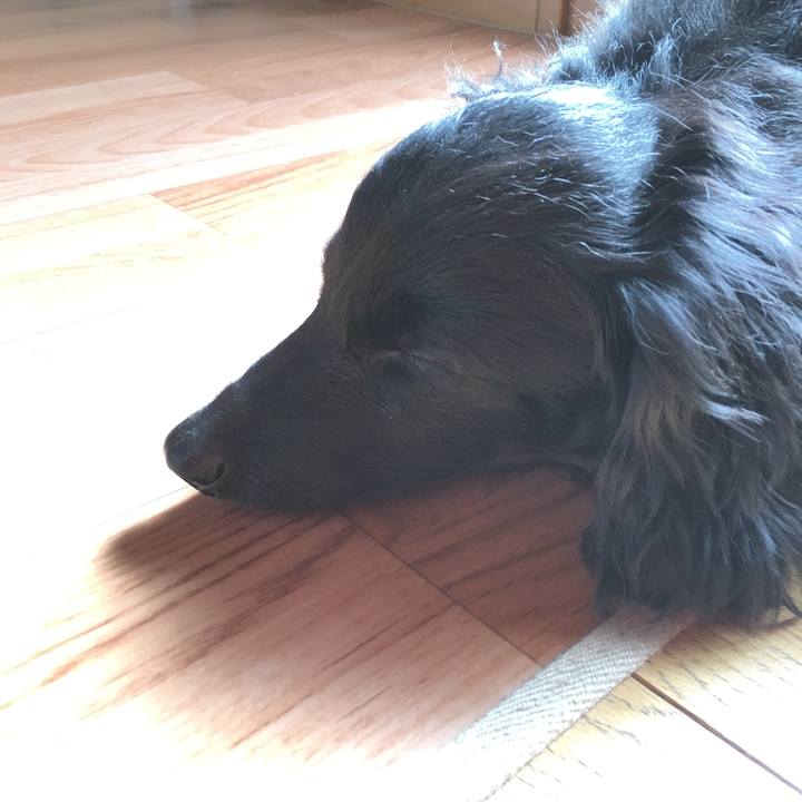 Ea406169 a028 4904 96d3 21e2218f1dbe