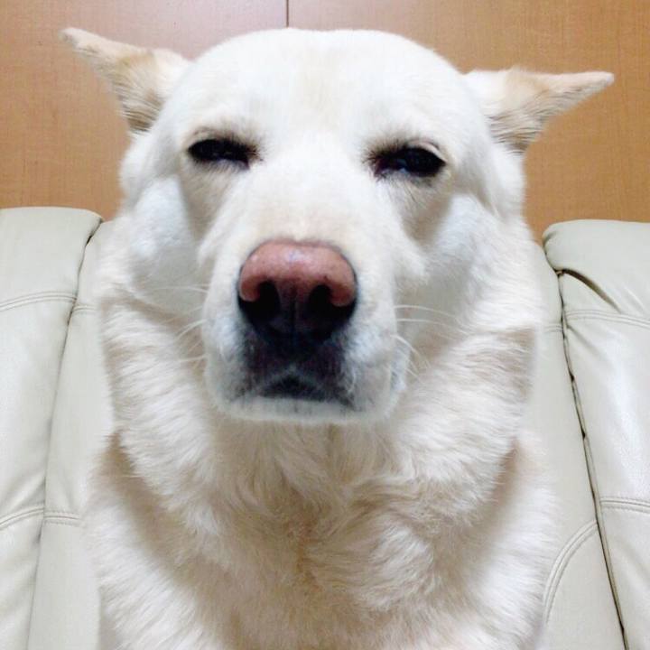 Ea40b79a c0ea 4a8d 9829 ec1d51e35044