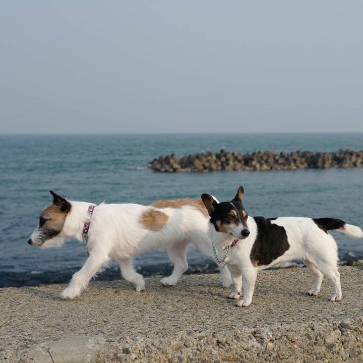 Ea4257e4 5664 4eb3 a772 35194ff84cbe