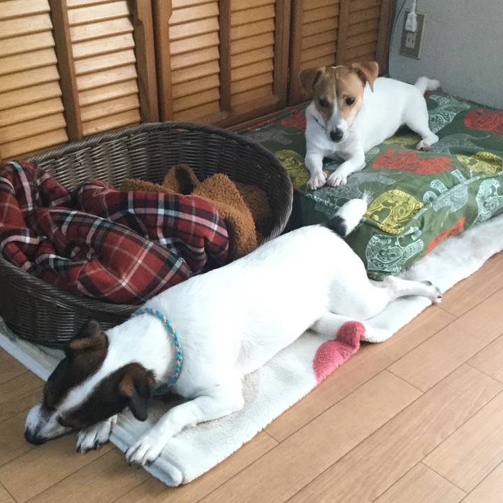 Ea42c17e 65df 46f5 a1b9 9a3f0ae492cc