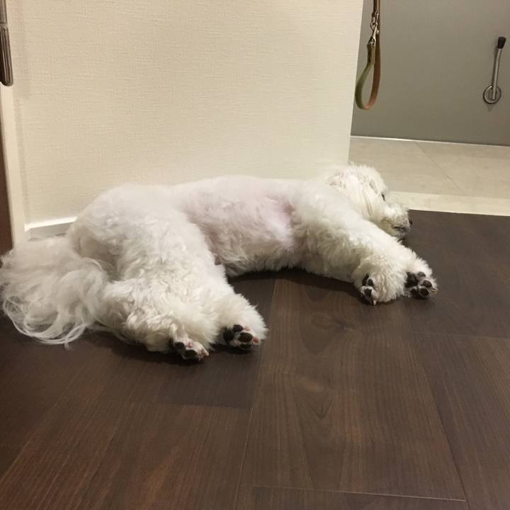 Ea430d68 8f66 4e06 a8e0 67a9ecf158e1