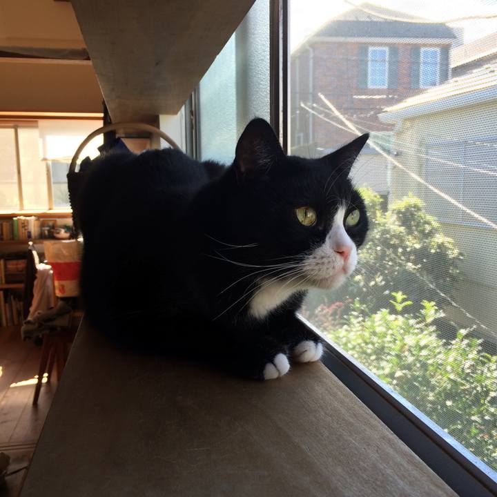 Ea437ac0 1831 4759 859a b58316a6f85e