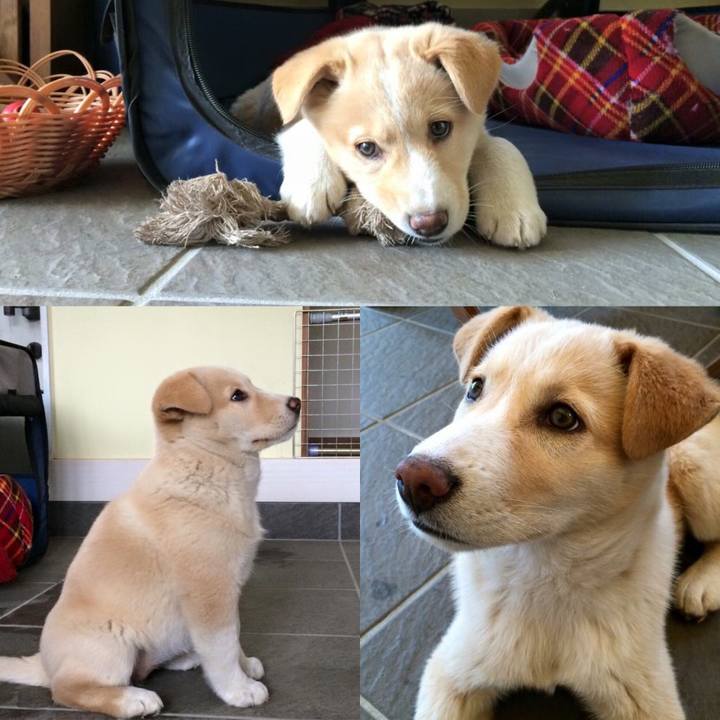 Ea439d39 2d16 4e27 bde9 1db9c6d4d09a