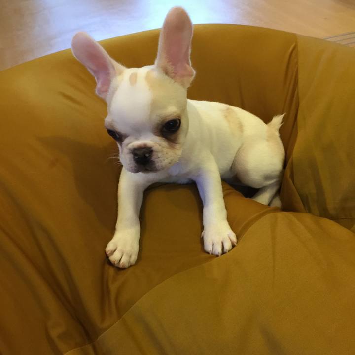 Ea447960 6cd0 4e11 8354 1f94c9558b94