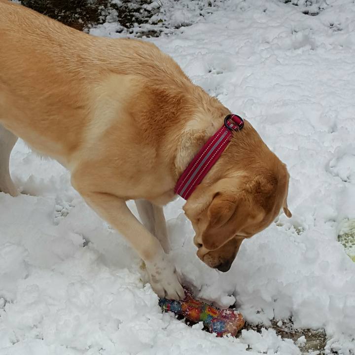 Ea44b152 72c6 4022 8b4c 1ca30af5734c