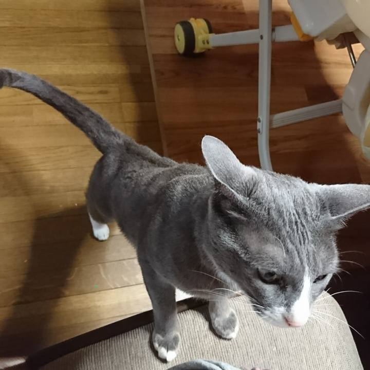 Ea455711 c640 4874 af6d b1dd819804b1