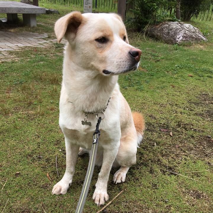 Ea457aff 0124 4f8f 8838 0a76dcfac595