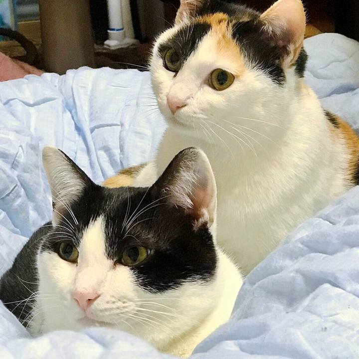 Ea458296 c842 4af8 9114 78639763c2bd