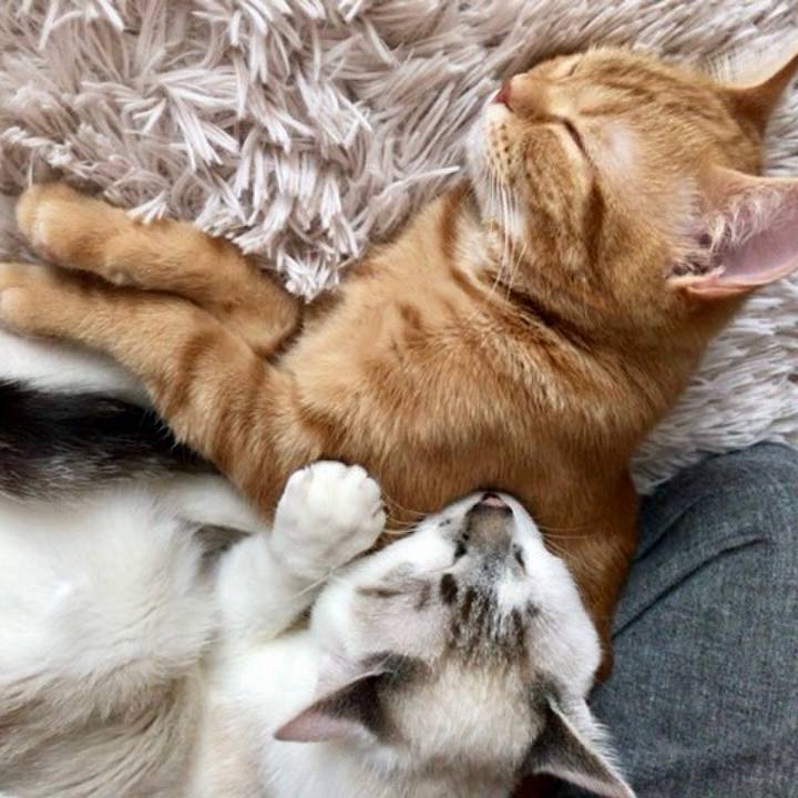 Ea460bc0 fb95 4d91 8fd4 6b18a6d5d30e