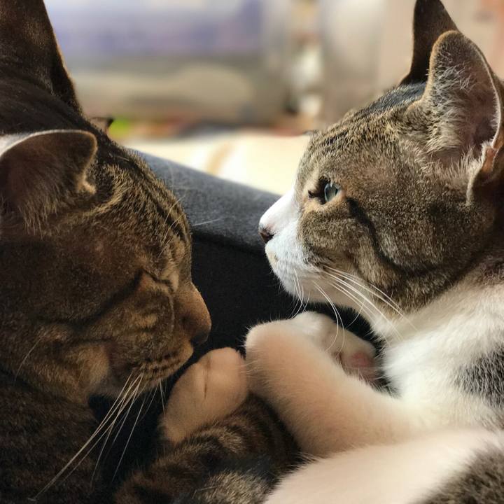 Ea461a62 15af 4f9d b99c 86e01d4d7e84