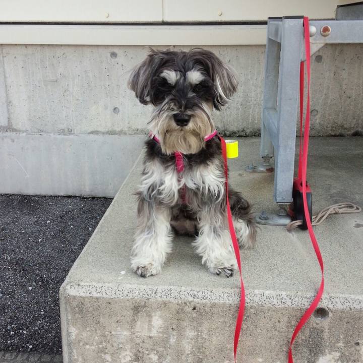 Ea463ca1 8594 482f aa83 16973a59295b