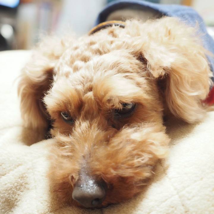 Ea465236 96c5 4b93 a875 415f4f664046