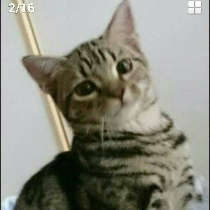 Ea46bfcf 47a6 4bb2 9667 a4722d22e6d8