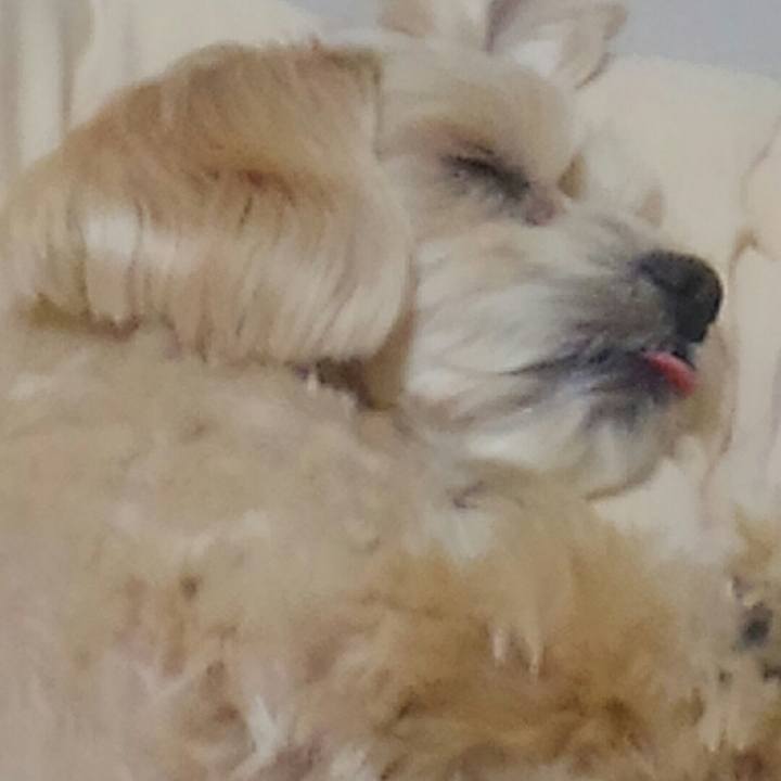 Ea47598c 92e1 4c72 ba2d 9f7a4bc58424