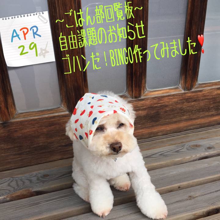 Ea4764d1 f6eb 4b91 872c c3e509bc13d6