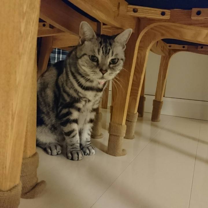 Ea476ffb 7d5e 4781 a5ac b479fc9cec9d