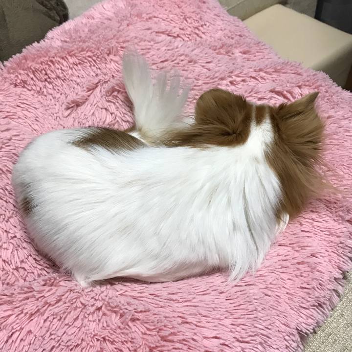 Ea478864 f523 40a7 a914 90ea7ba96a76