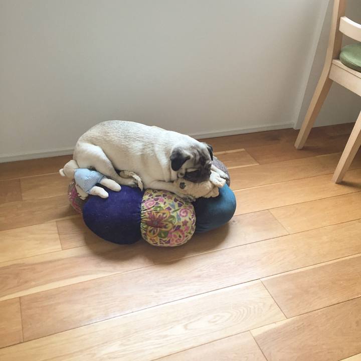 Ea47c431 a891 48c0 9220 ac587144828c