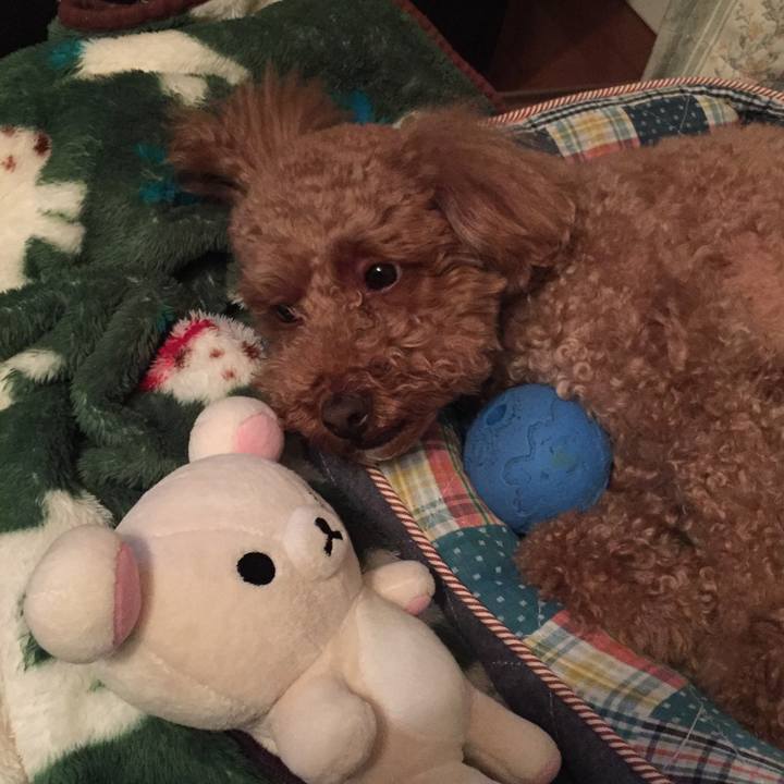 Ea47d773 1afe 4b8c 8b0f 40ccb30e4be8