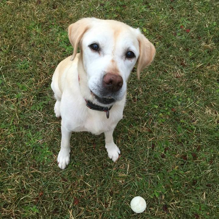 Ea4803bf 148c 48ca b256 b24178422a1f