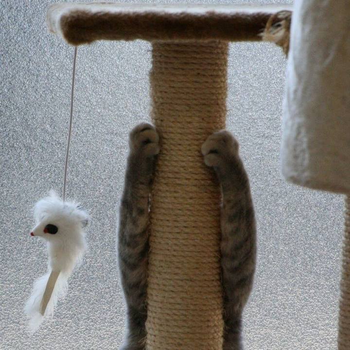 Ea481ccf c302 40f3 802d 21b434efae43