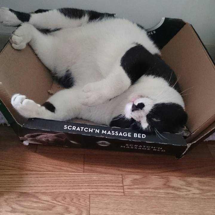 Ea4955f8 515d 481b bec2 0426d33b0e84