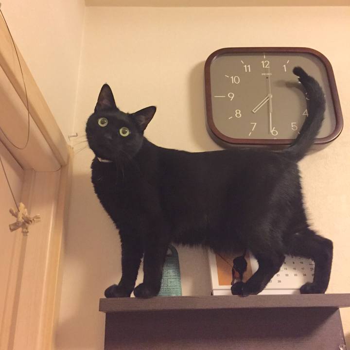 Ea49ca1d 89be 42e8 838e d7b7a8e5bd5a