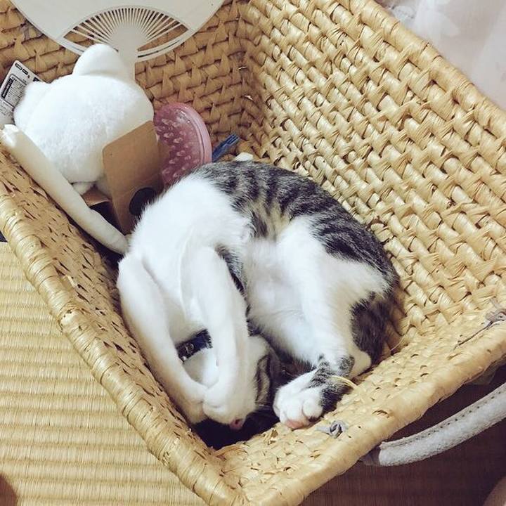 Ea49ce17 aba0 498f a3d9 bc4301b4fc11