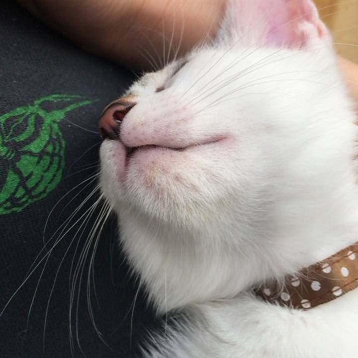 Ea4a802e cb1e 4812 b287 678162b3d307