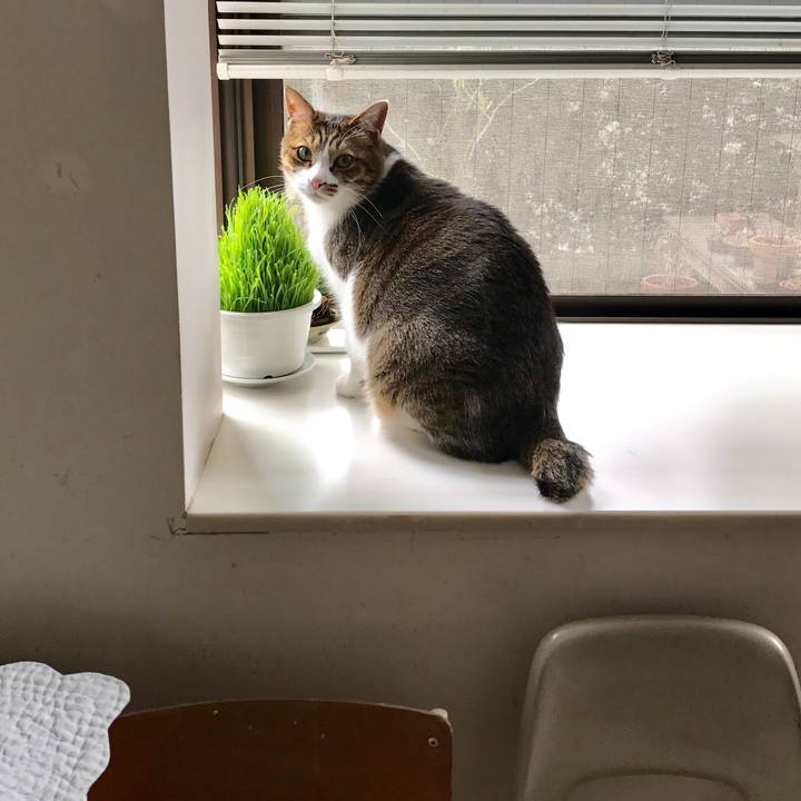 Ea4a9304 c44c 48fb a745 7ba773a7549e