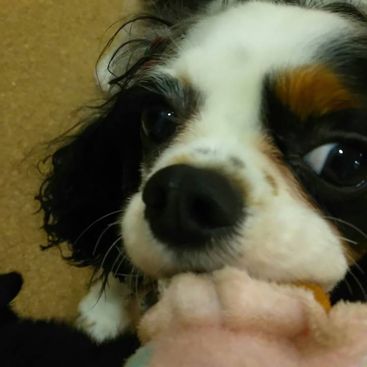 Ea4ae1eb 6588 4c34 af2a a7d155c5ea50