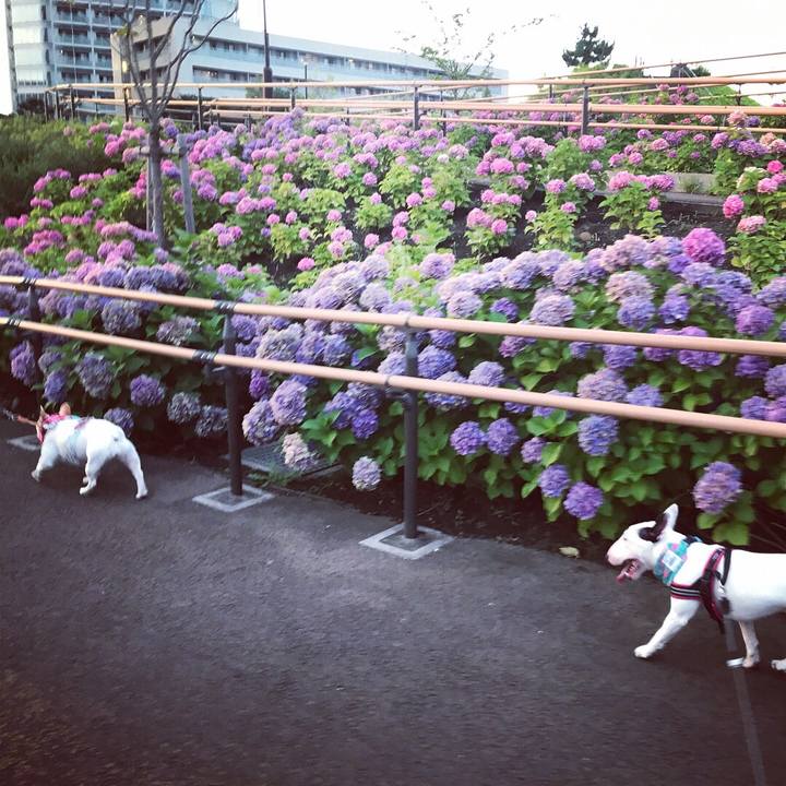 Ea4b2224 d58a 4b72 b100 b7025f6a1fdf