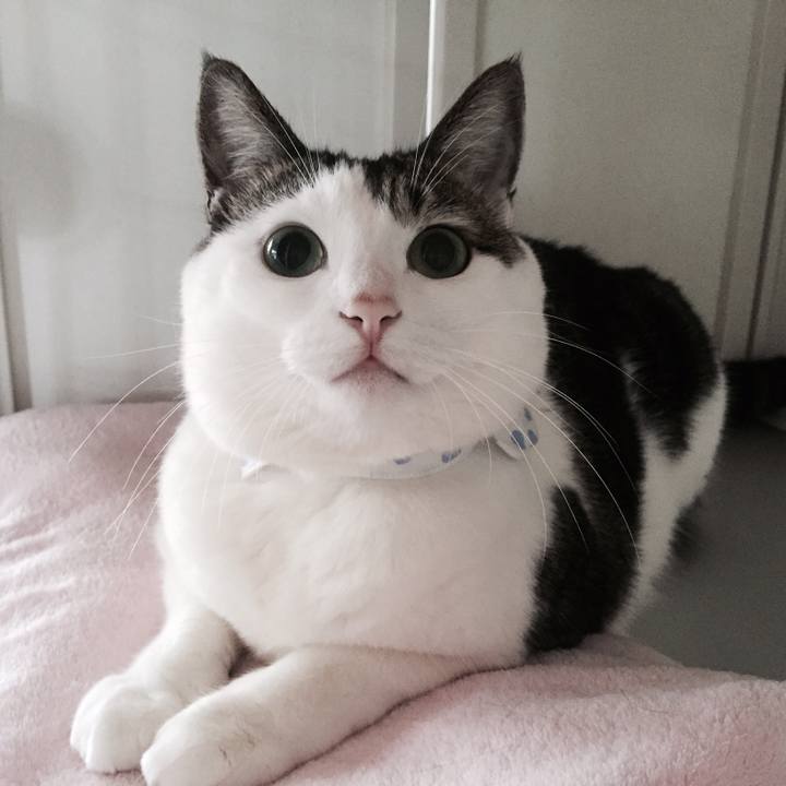 Ea4c0d98 70f3 4681 b2ef 528882bf2b35