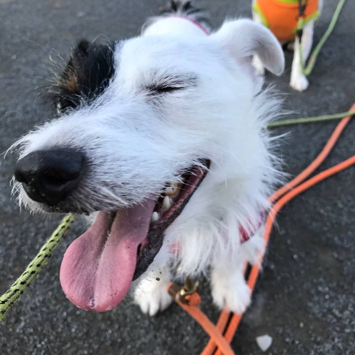 Ea4d1491 9bd0 486c 812f 46fb6ebca68f