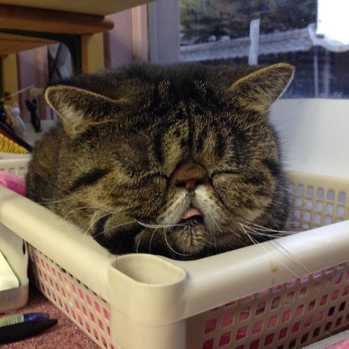 Ea4dfd68 45b6 414f 95b3 573d000a4b93