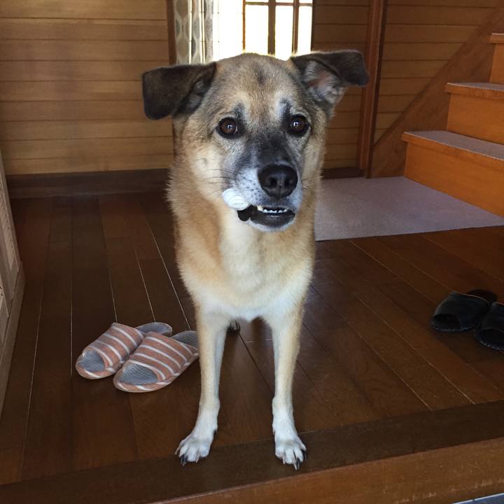 Ea4e4a49 4451 4945 94b7 529665935585