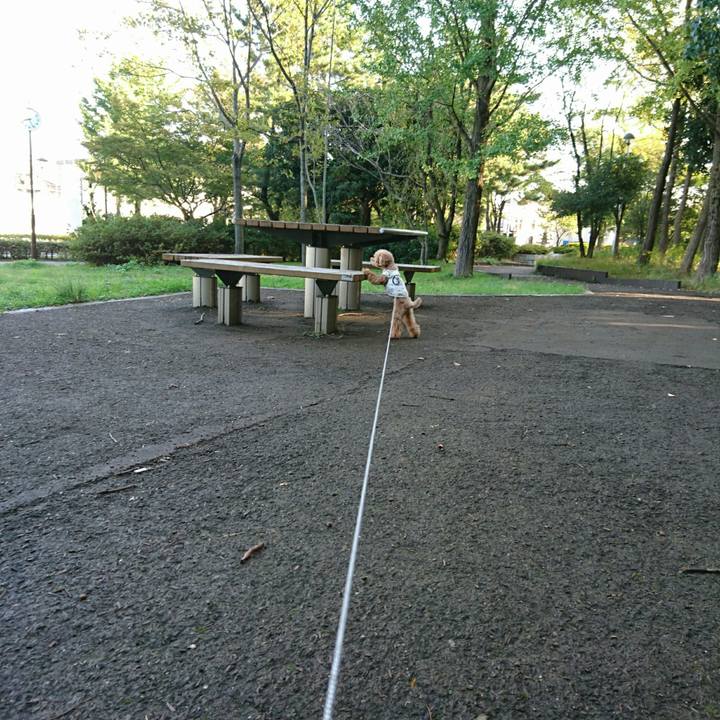 Ea4ebd96 e422 4534 9d92 c23ce3ef3897