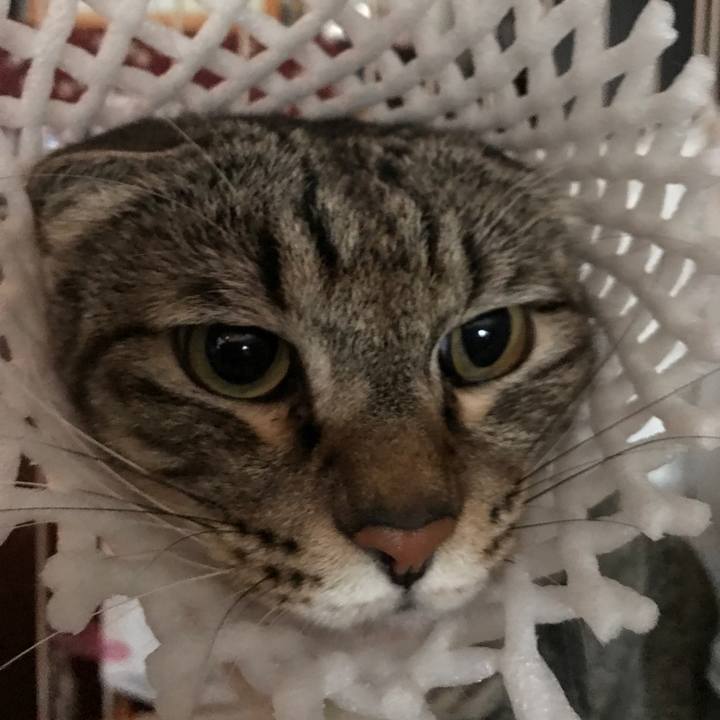 Ea4f4fbc fd77 4d8f 9a4b 163156fbb10a