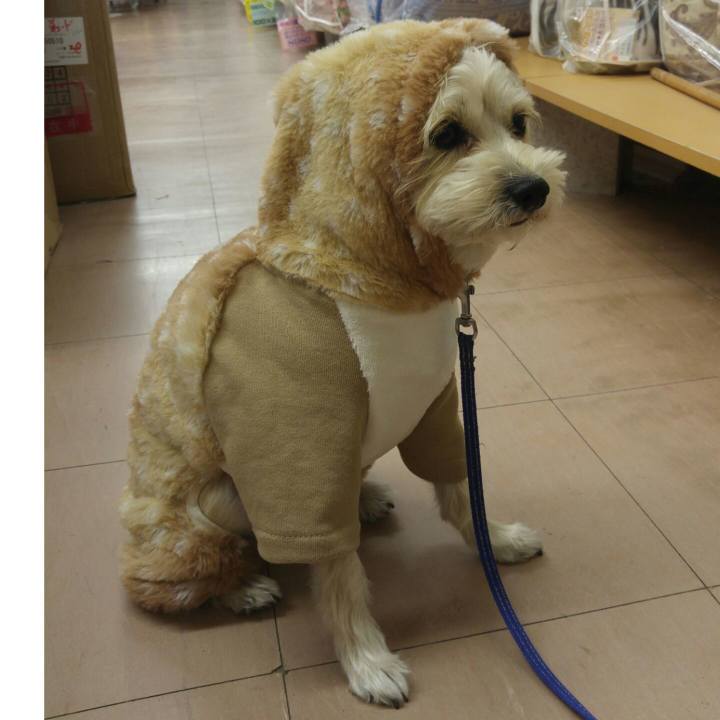 Ea4f8af7 856e 4d56 ae6f 469f09723bde