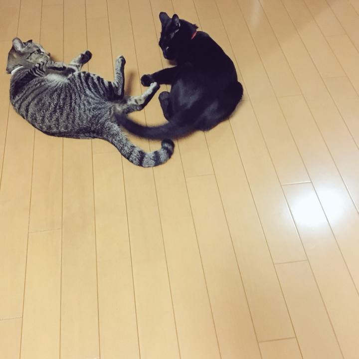 Ea4f93c5 b8d7 4c09 afea 6ec1ee27bf4a