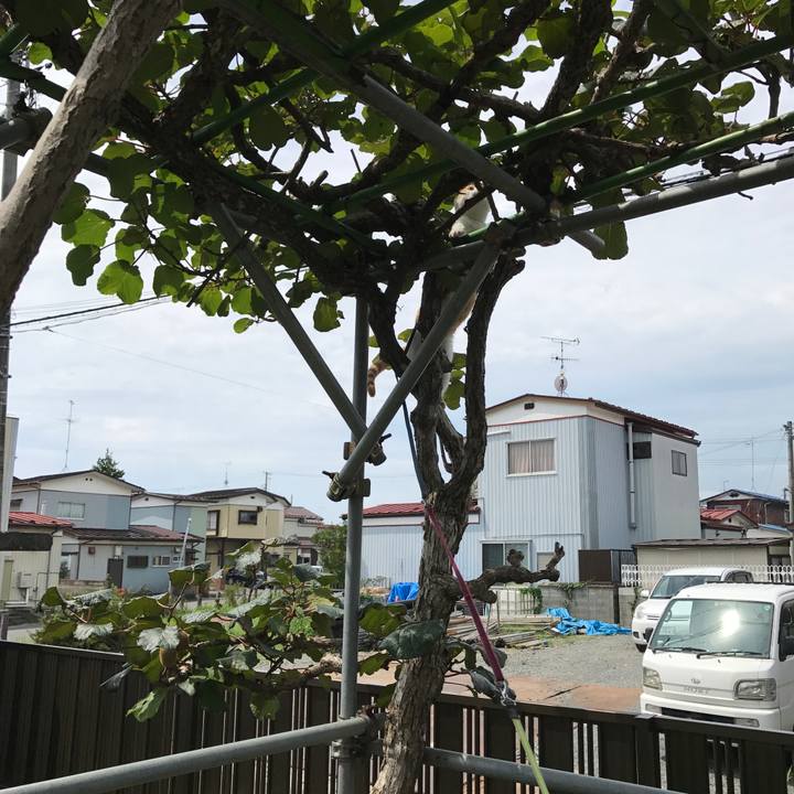 Ea4fdf5f 68fc 4de6 8307 08966a55afe5