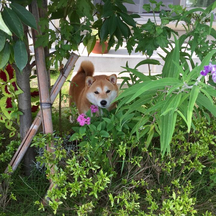 Ea50366d c601 4d56 9c4e acd157695602