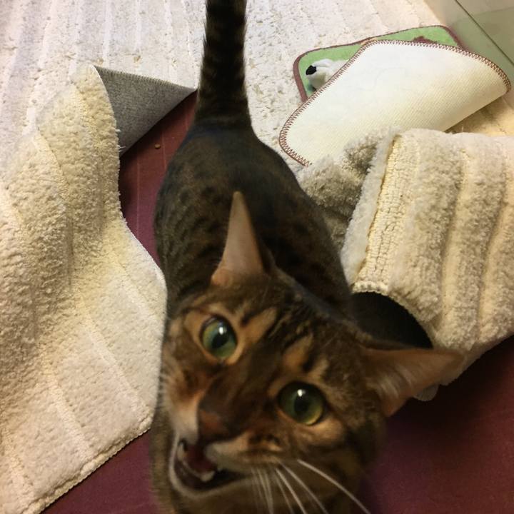 Ea510048 ce96 4dd8 8aee 3dd28c159f85